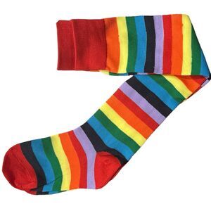 1 Pair Rainbow Striped Thigh High Socks Womens Lightweight Stretch OSFM  LGBTQ+